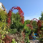 Casa de Férias Penelope