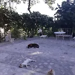 Casa de Férias Penelope