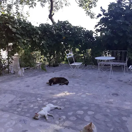 Prázdninový dům Penelope