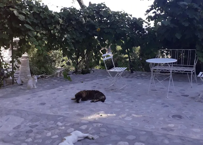 Σπίτι διακοπών Penelope